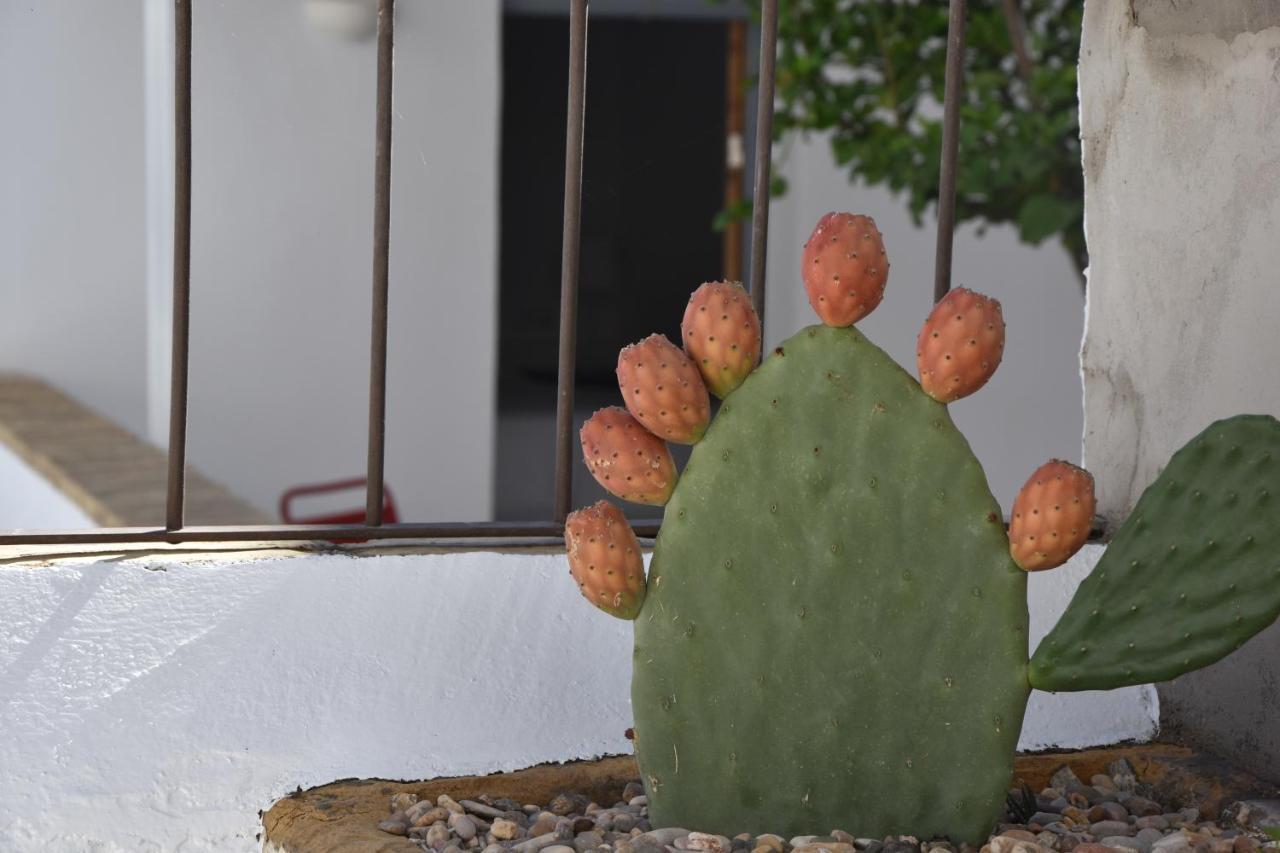Espejo  Casa Almara Bed & Breakfast エクステリア 写真